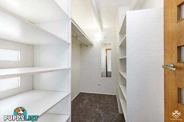 20 Bent Street Cannon Hill QLD 4170