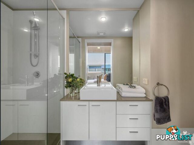 ID:3859654 70 Love Street Bulimba QLD 4171