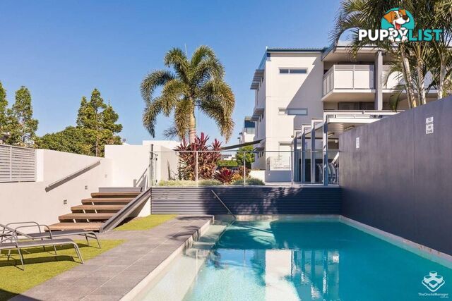 ID:3859654 70 Love Street Bulimba QLD 4171
