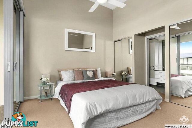 ID:3859654 70 Love Street Bulimba QLD 4171