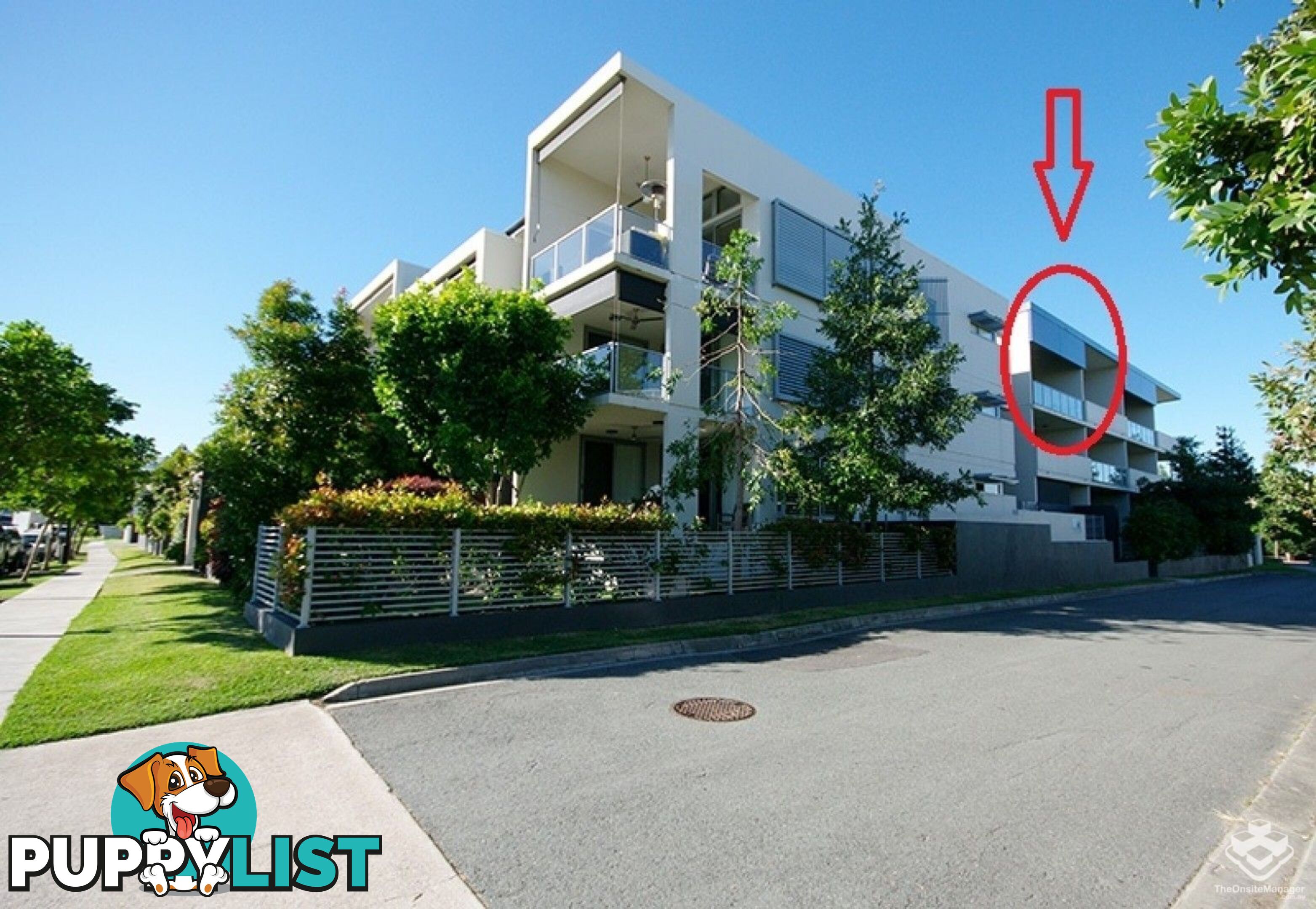 ID:3859654 70 Love Street Bulimba QLD 4171