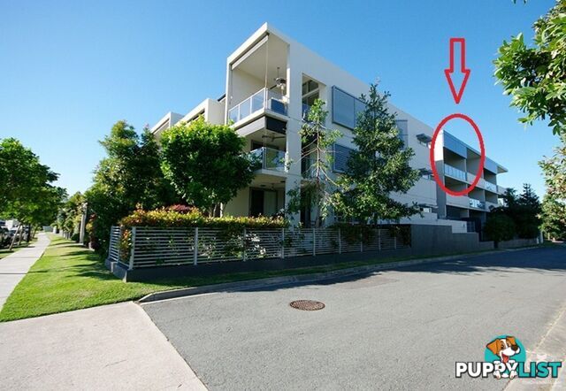 ID:3859654 70 Love Street Bulimba QLD 4171