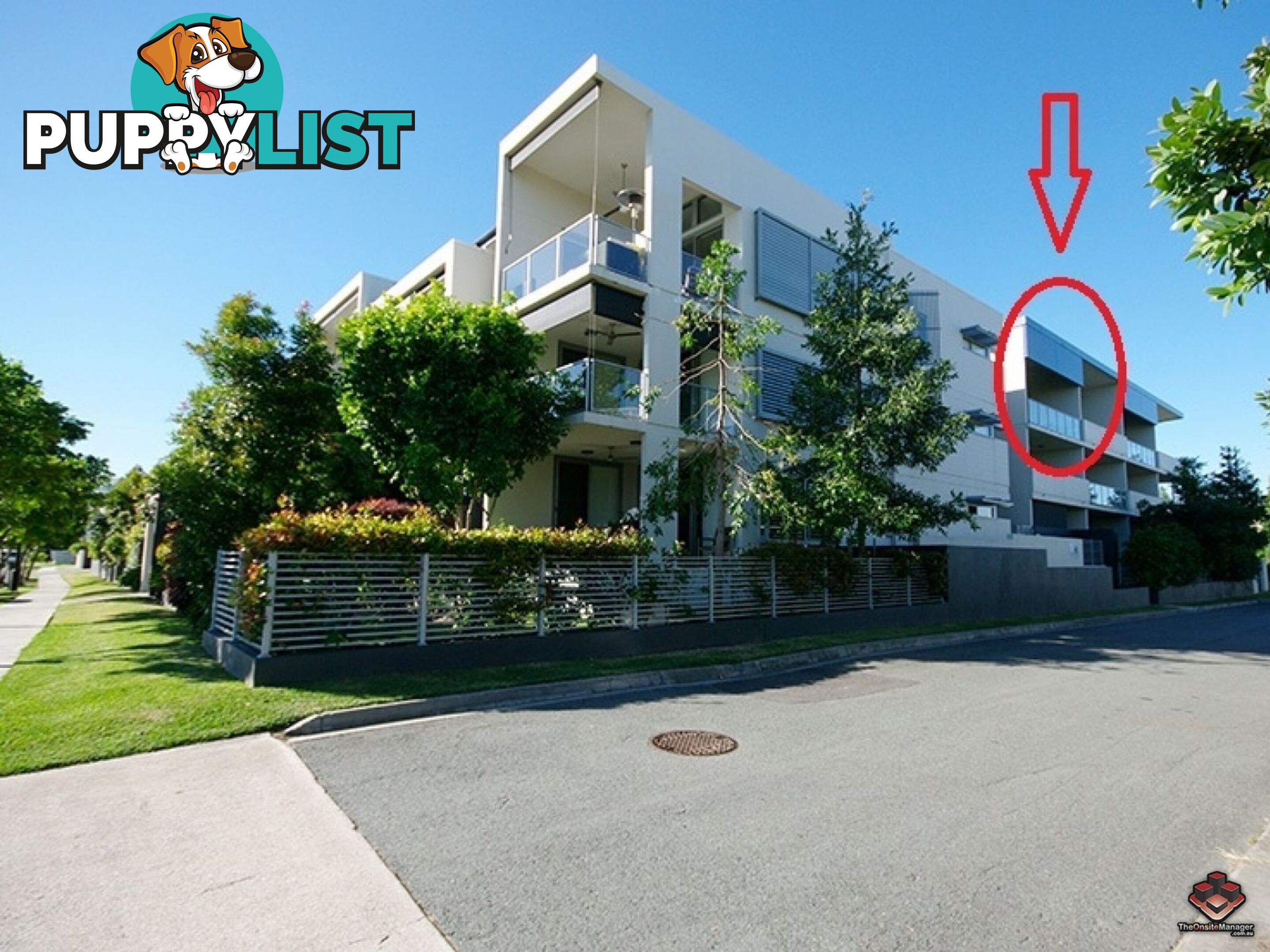 ID:3859654 70 Love Street Bulimba QLD 4171