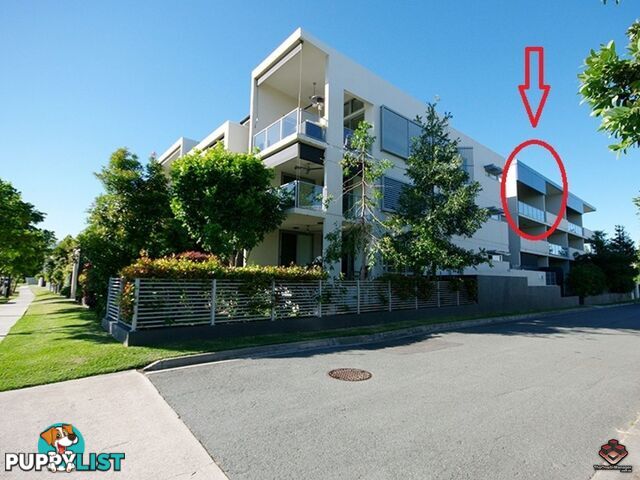 ID:3859654 70 Love Street Bulimba QLD 4171