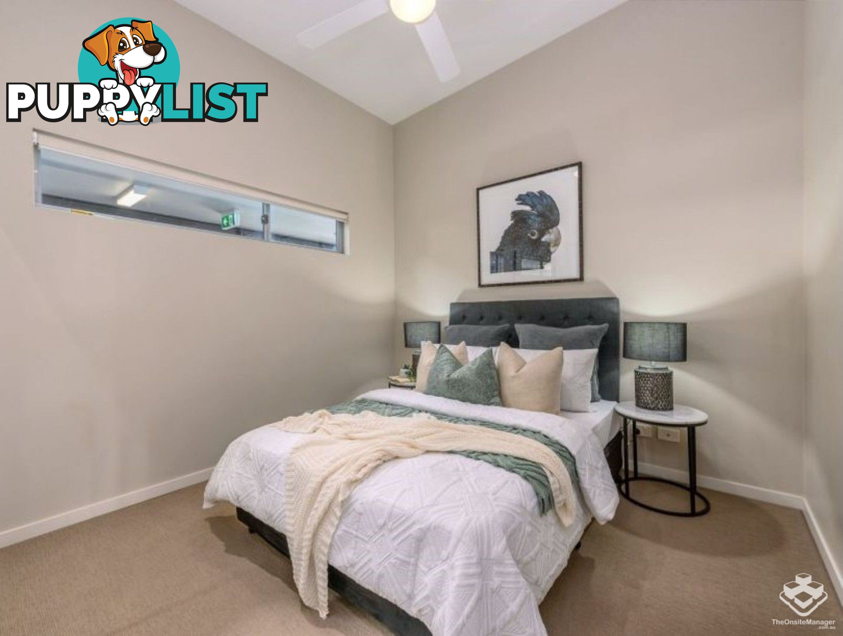 ID:3859654 70 Love Street Bulimba QLD 4171