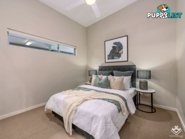 ID:3859654 70 Love Street Bulimba QLD 4171
