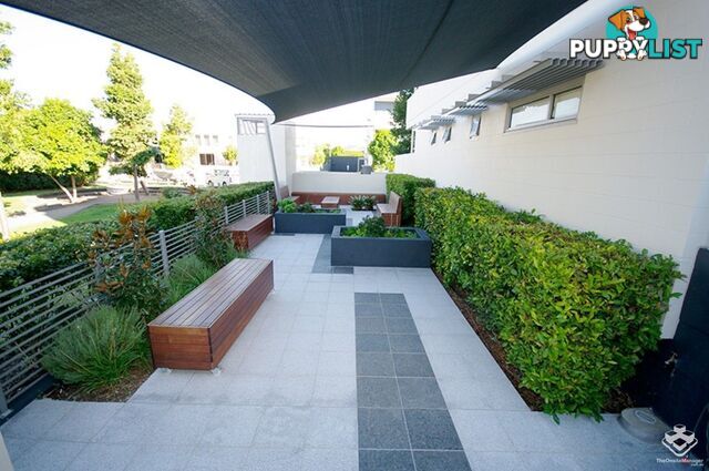 ID:3859654 70 Love Street Bulimba QLD 4171