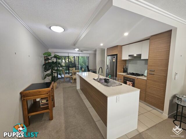 154 Musgrave Avenue Southport QLD 4215