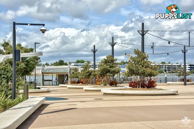 ID:21158397 2 Harbour Road Hamilton QLD 4007