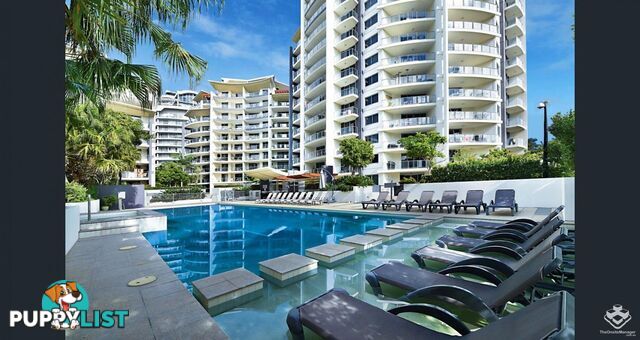 ID:21156235 21-31 Cypress Avenue Surfers Paradise QLD 4217