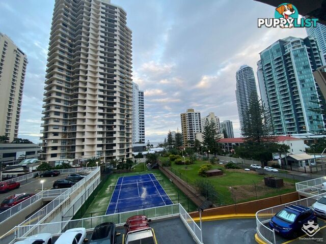 ID:21154160 3049 Surfers Paradise Boulevard Surfers Paradise QLD 4217