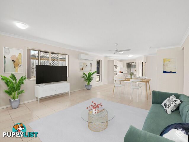 6 White Ibis Drive Griffin QLD 4503