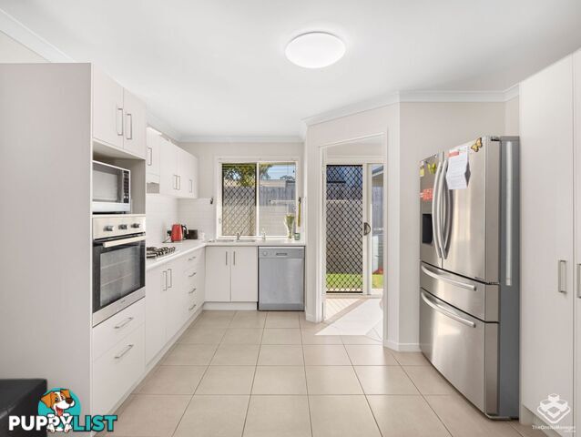 6 White Ibis Drive Griffin QLD 4503