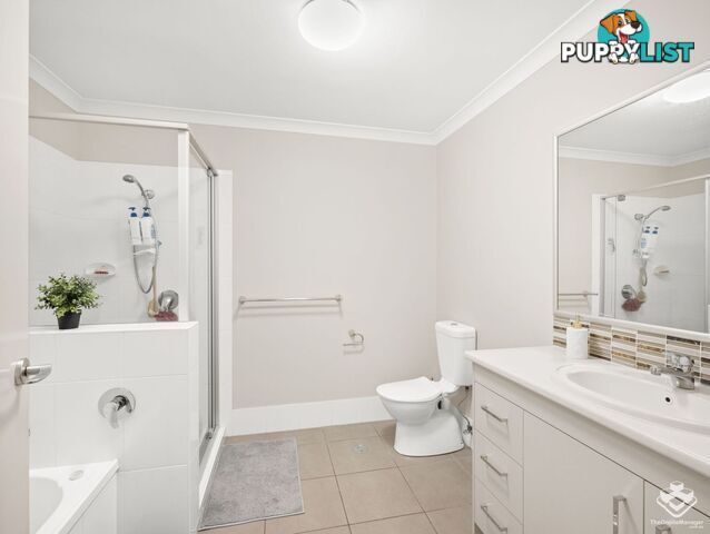 6 White Ibis Drive Griffin QLD 4503