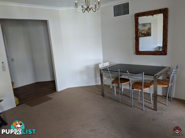 69 Leichhardt Street Spring Hill QLD 4000