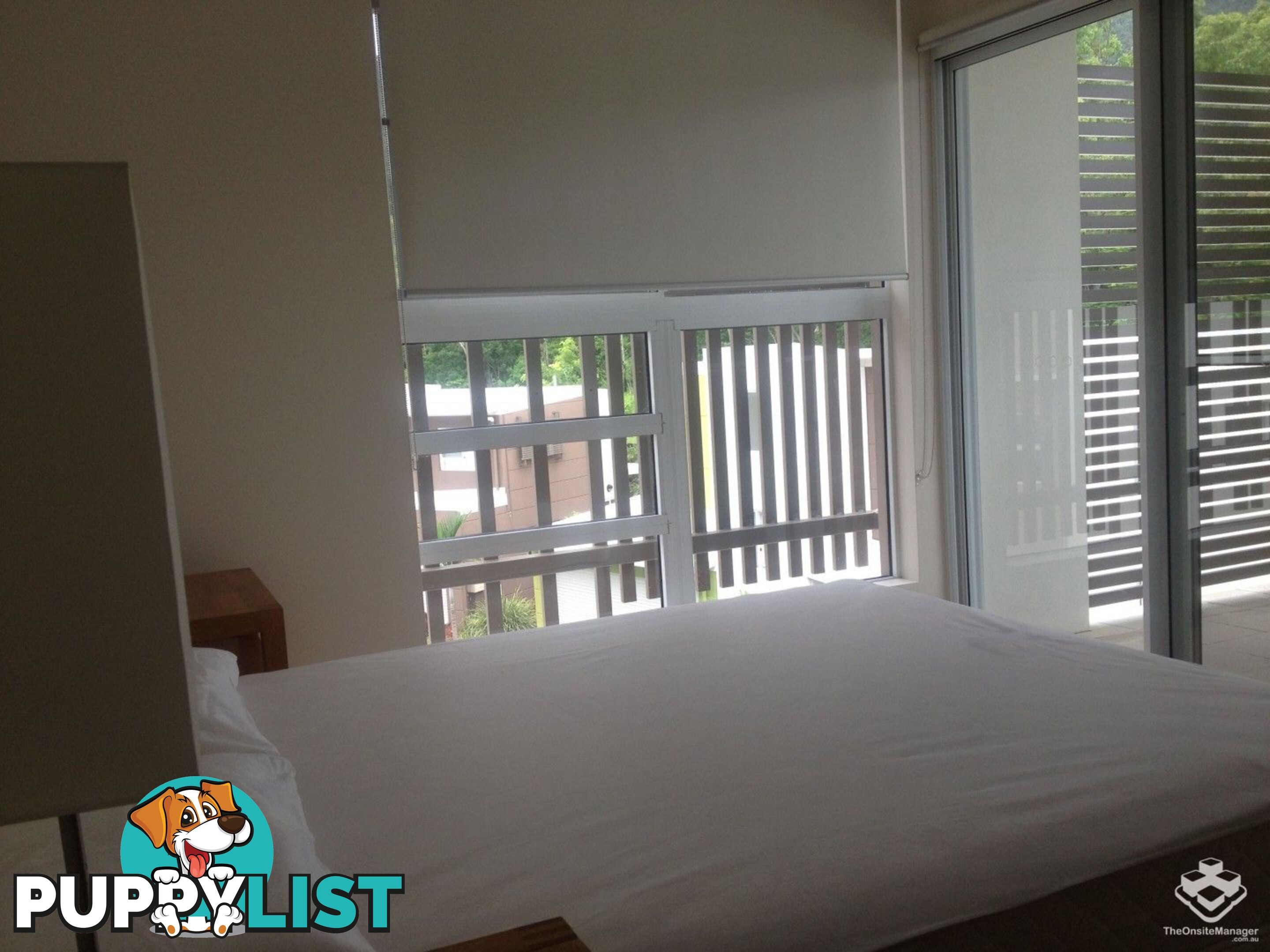 ID:21148040 65 Manooka Drive Cannonvale QLD 4802