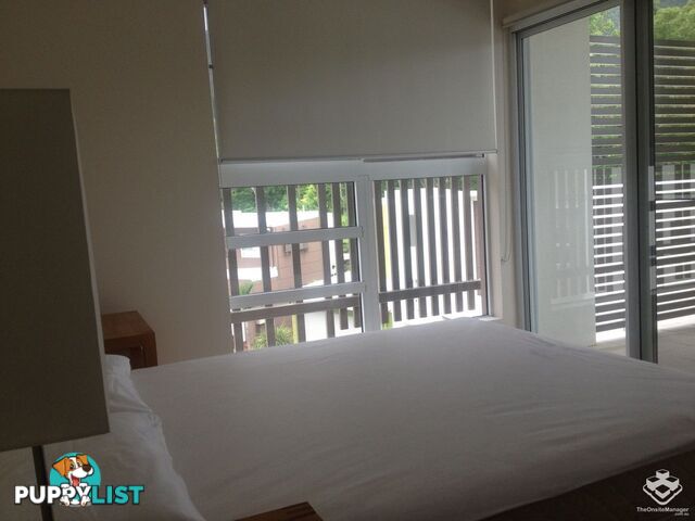 ID:21148040 65 Manooka Drive Cannonvale QLD 4802