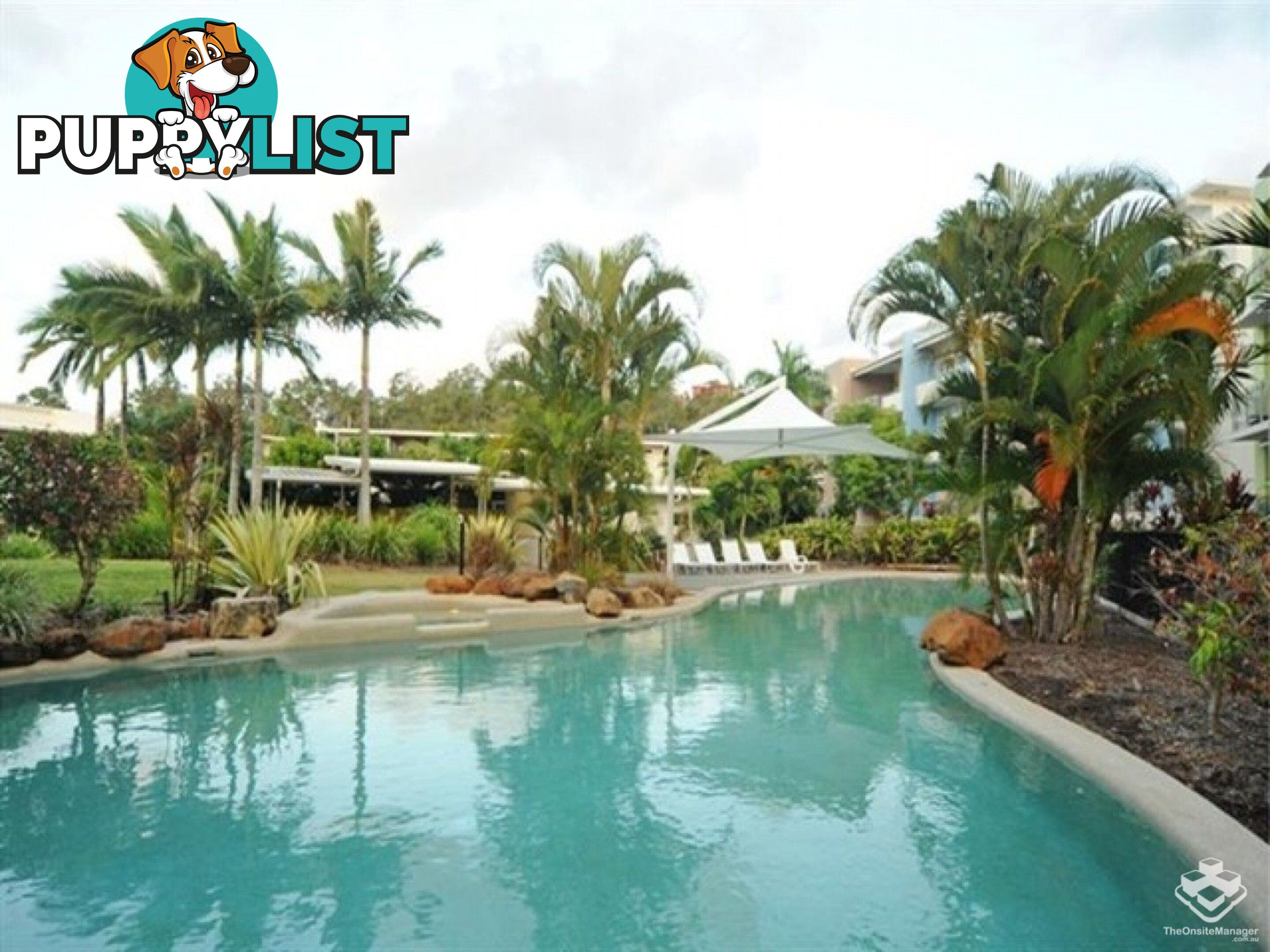 ID:21148040 65 Manooka Drive Cannonvale QLD 4802