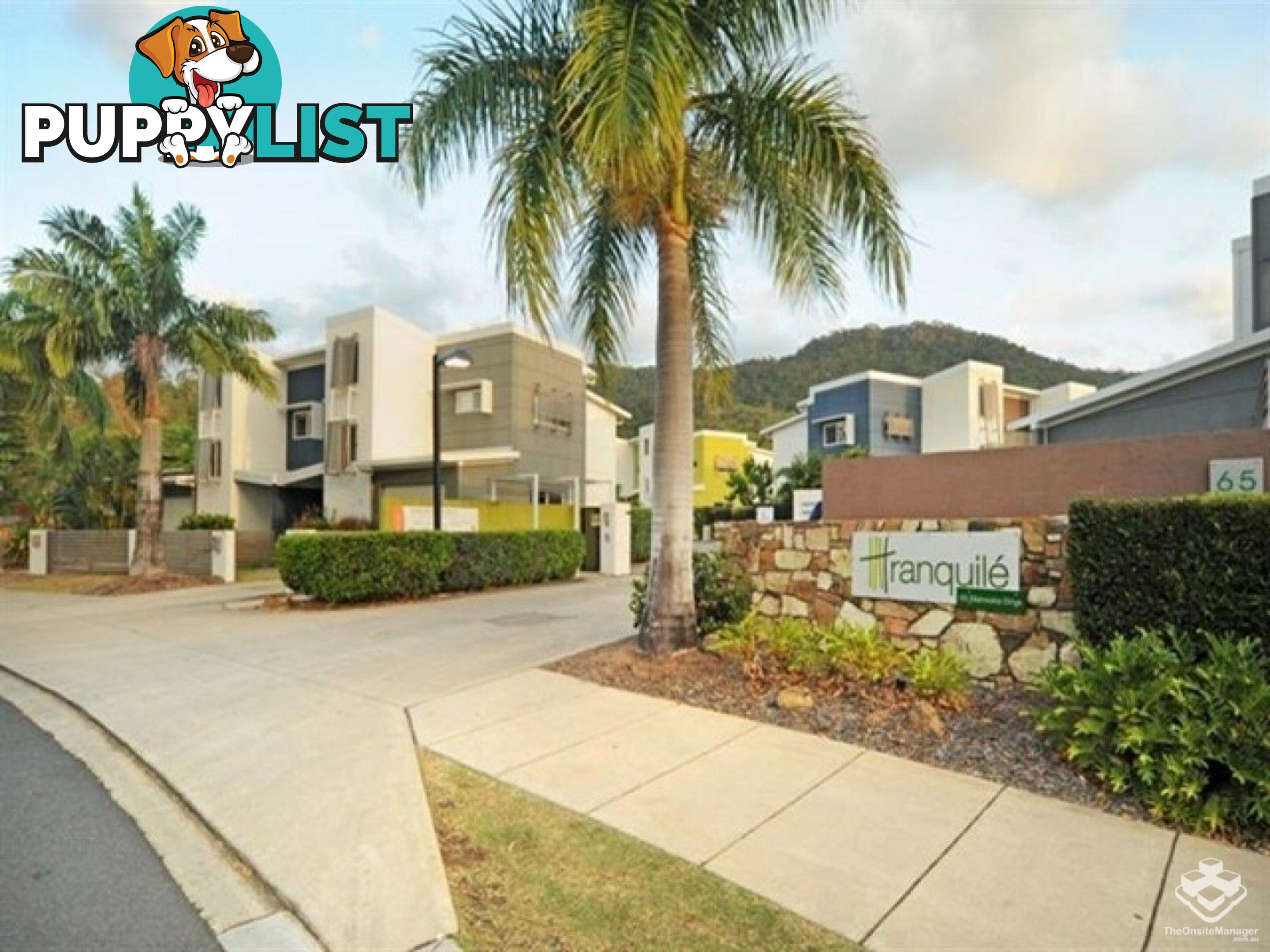 ID:21148040 65 Manooka Drive Cannonvale QLD 4802