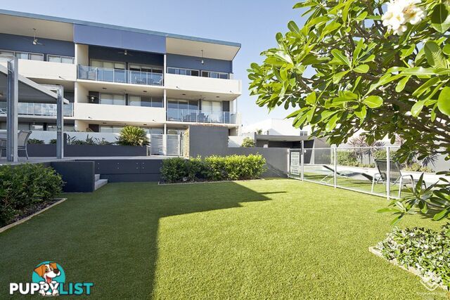 23/18 Riverbend Place Bulimba QLD 4171