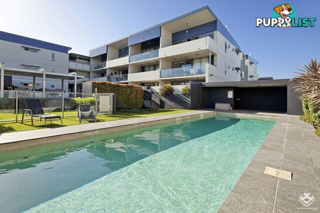 23/18 Riverbend Place Bulimba QLD 4171