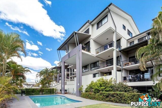 ID:21154625 60 Sherwood Road Toowong QLD 4066
