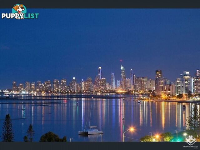 ID:21155830 17 Bayview Street Runaway Bay QLD 4216
