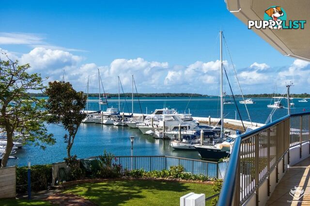 ID:21155830 17 Bayview Street Runaway Bay QLD 4216