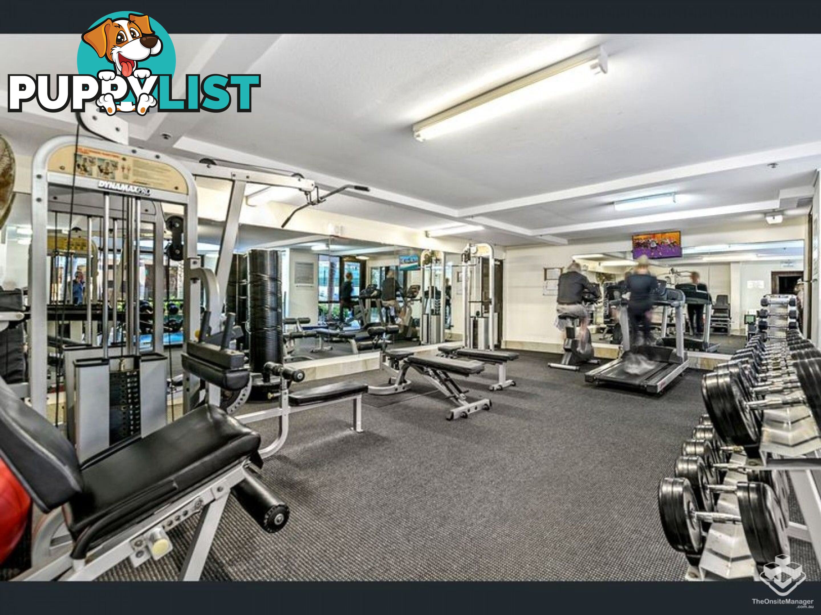 ID:21155830 17 Bayview Street Runaway Bay QLD 4216