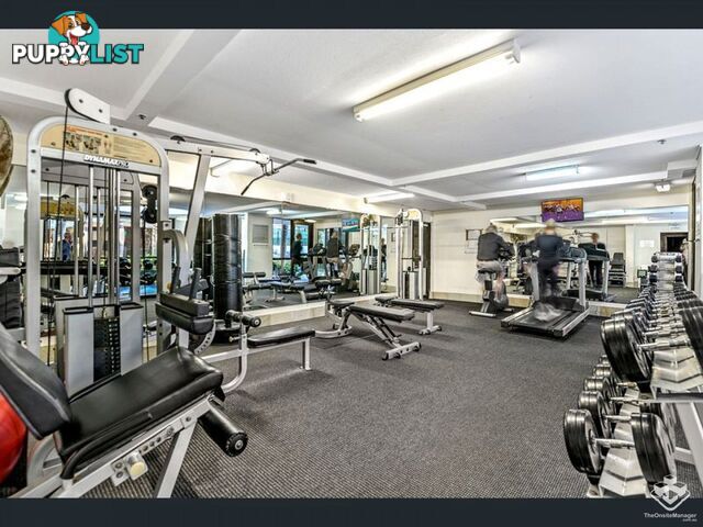 ID:21155830 17 Bayview Street Runaway Bay QLD 4216