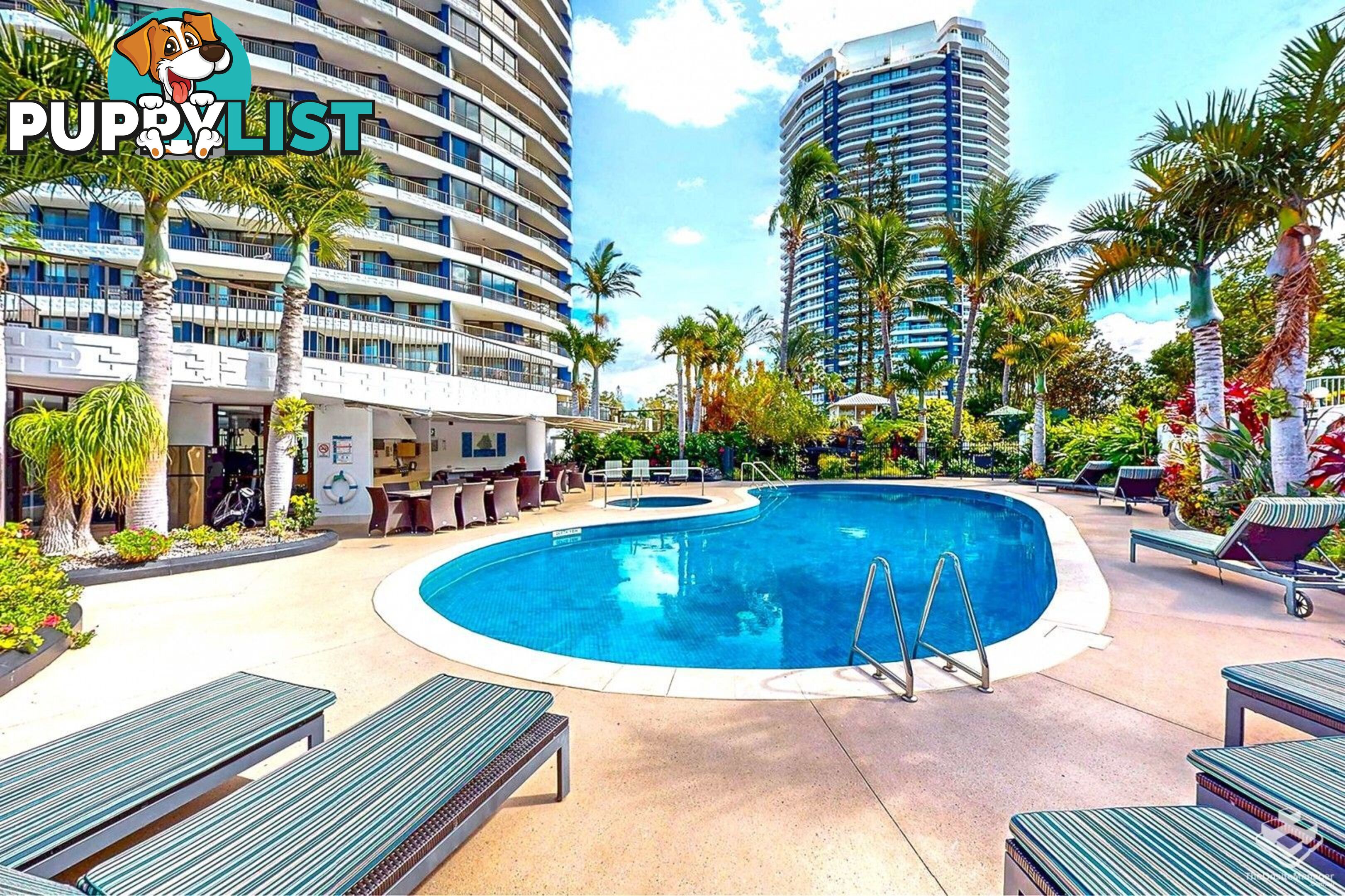 ID:21155830 17 Bayview Street Runaway Bay QLD 4216