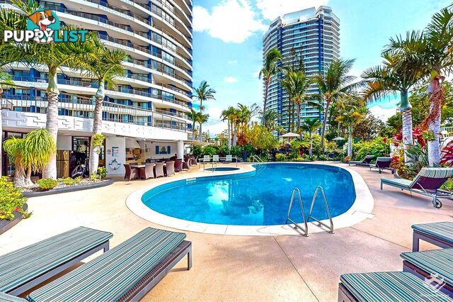 ID:21155830 17 Bayview Street Runaway Bay QLD 4216