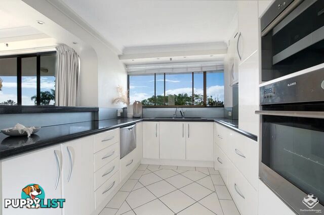 ID:21155830 17 Bayview Street Runaway Bay QLD 4216