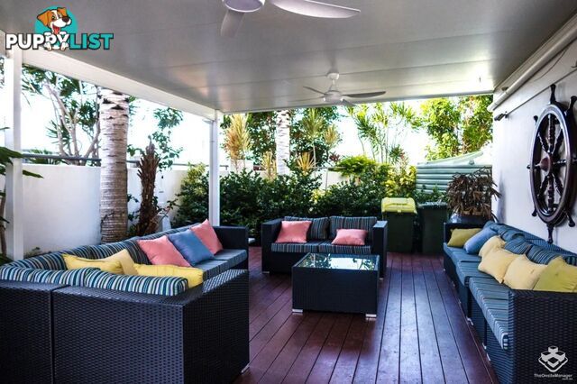 ID:21155830 17 Bayview Street Runaway Bay QLD 4216