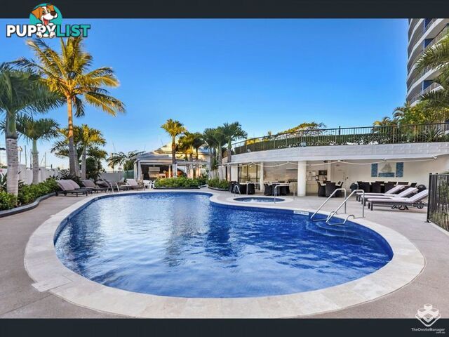 ID:21155830 17 Bayview Street Runaway Bay QLD 4216