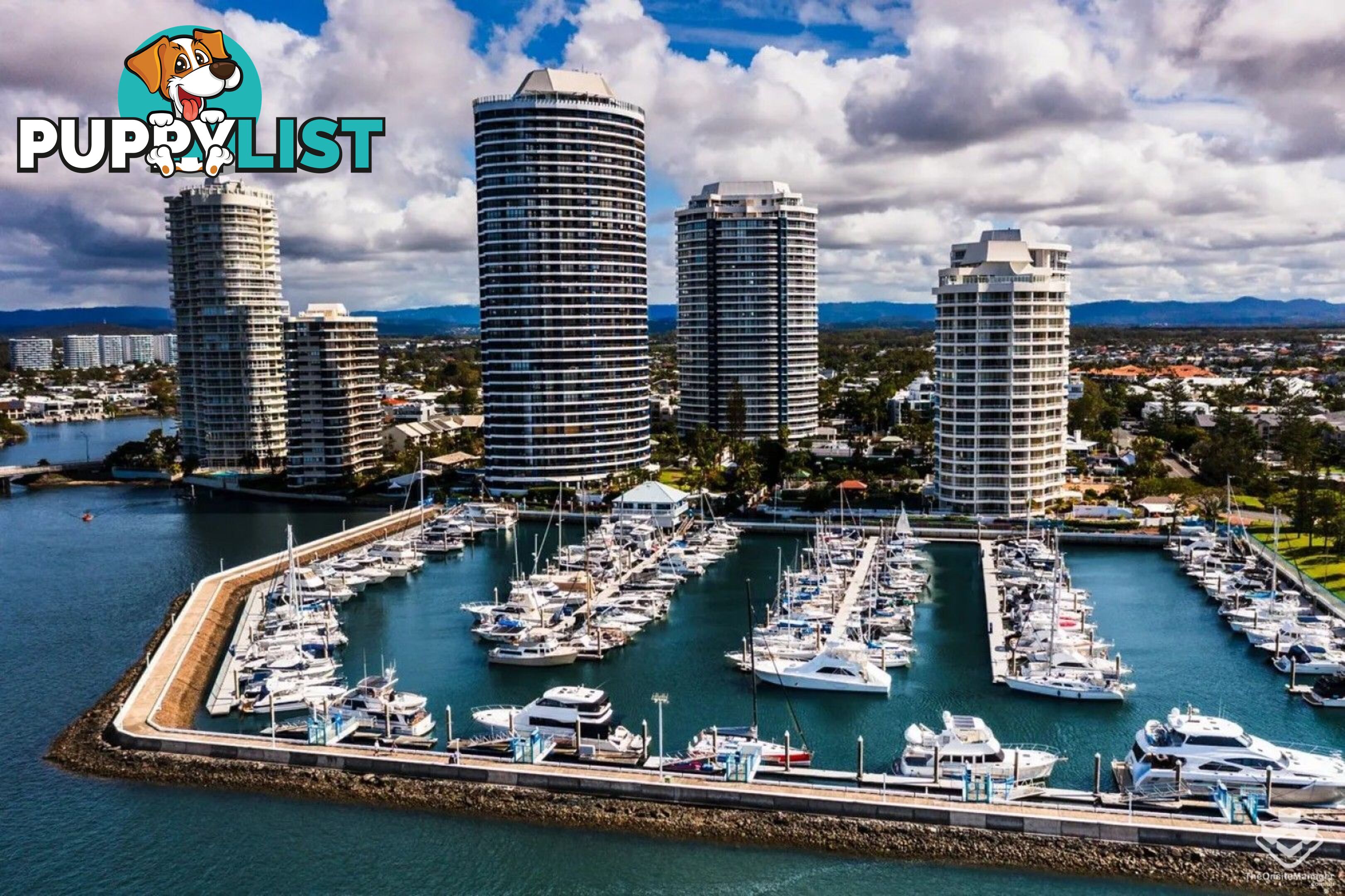ID:21155830 17 Bayview Street Runaway Bay QLD 4216
