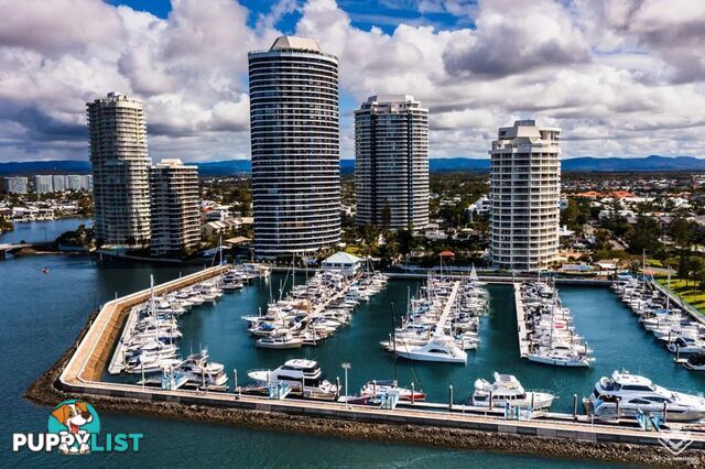 ID:21155830 17 Bayview Street Runaway Bay QLD 4216
