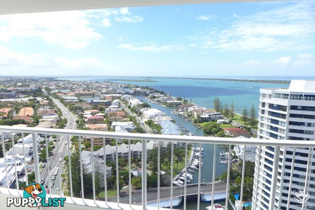 ID:21149374 21 Bayview Street Runaway Bay QLD 4216