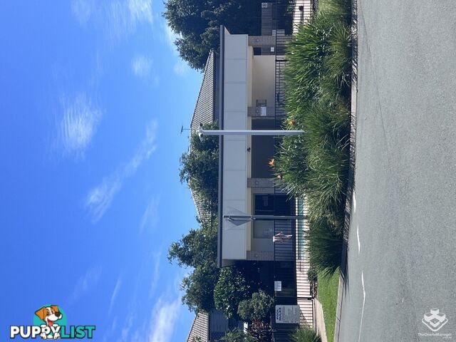 ID:21152540 17 Piccadilly Street Bellmere QLD 4510