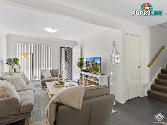 ID:21152540 17 Piccadilly Street Bellmere QLD 4510