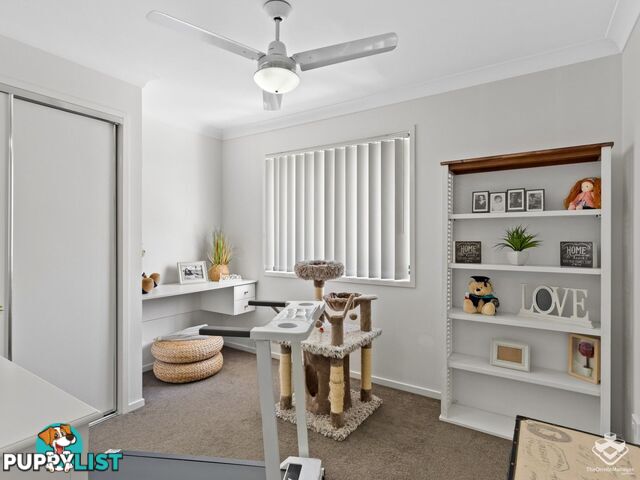 ID:21152540 17 Piccadilly Street Bellmere QLD 4510