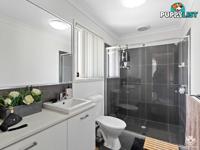 ID:21152540 17 Piccadilly Street Bellmere QLD 4510