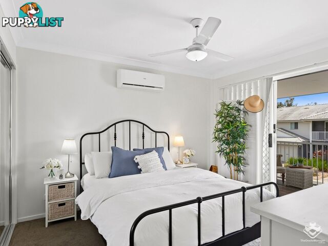 ID:21152540 17 Piccadilly Street Bellmere QLD 4510