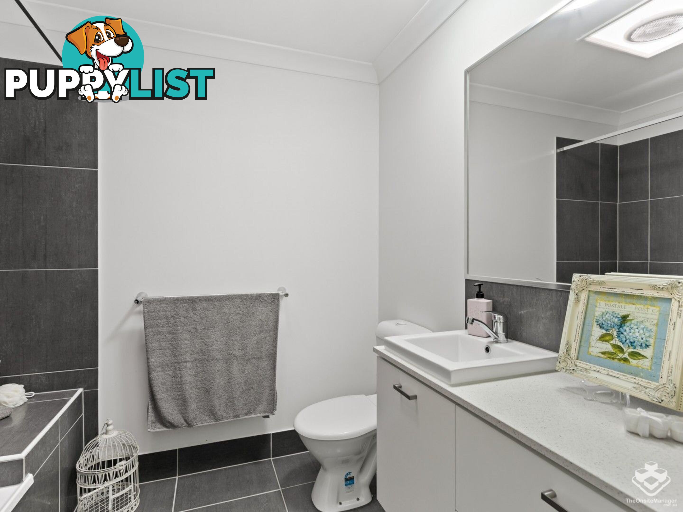 ID:21152540 17 Piccadilly Street Bellmere QLD 4510