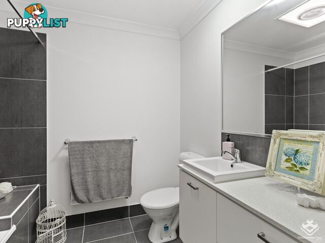 ID:21152540 17 Piccadilly Street Bellmere QLD 4510