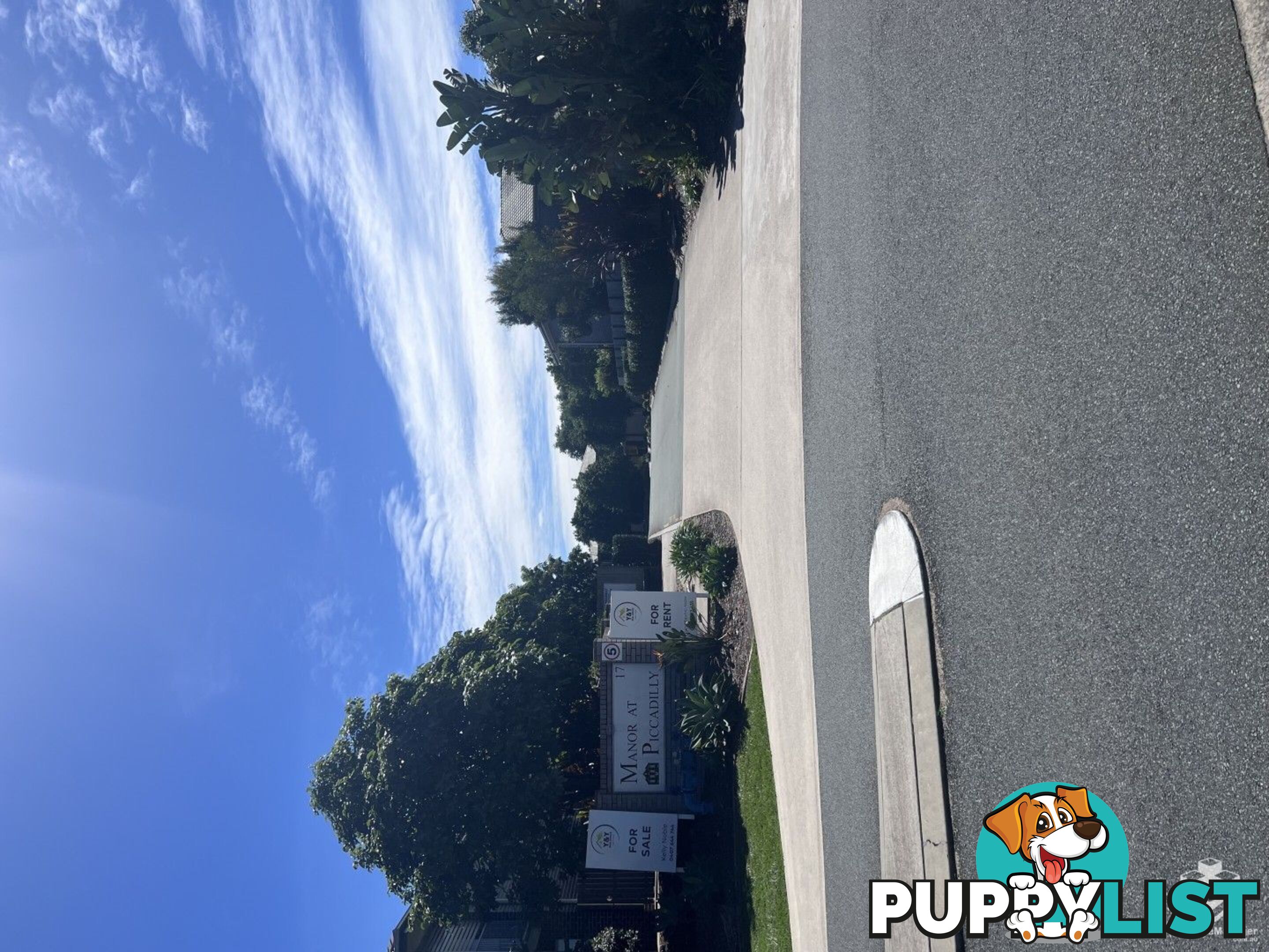 ID:21152540 17 Piccadilly Street Bellmere QLD 4510