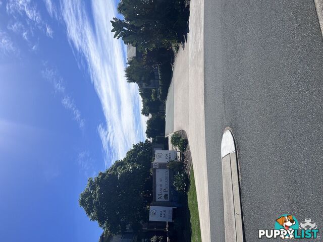 ID:21152540 17 Piccadilly Street Bellmere QLD 4510