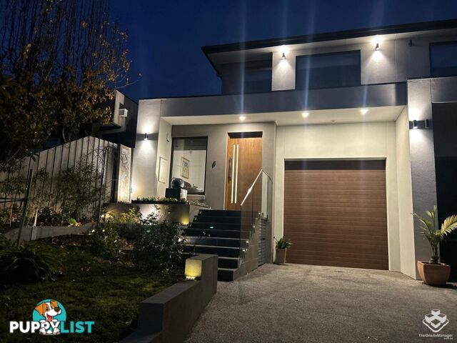 8/A Musca Street Balwyn North VIC 3104