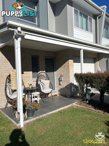 ID:21147154 7-9 Montree Circuit Kallangur QLD 4503