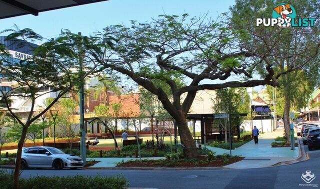 ID:21156955 22 Railway Terrace Milton QLD 4064